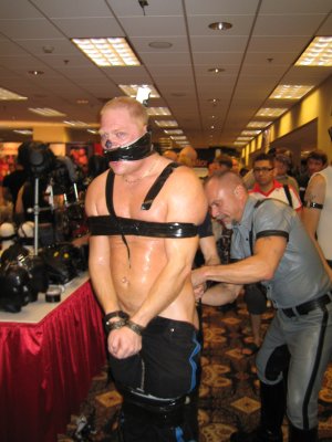 iml-2006-009.jpg