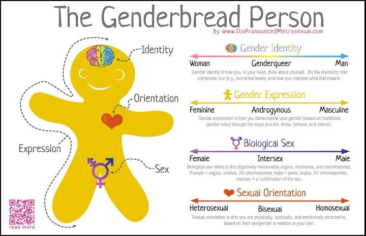 gingerbread_gender-1